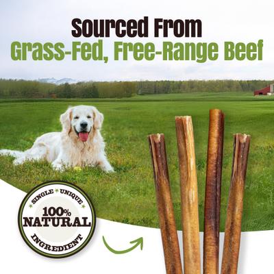 Show full view: Palz&Co Moodog 12-inch Beef Thick Bully Sticks Dog Treats, 25 count slide 8 of 10