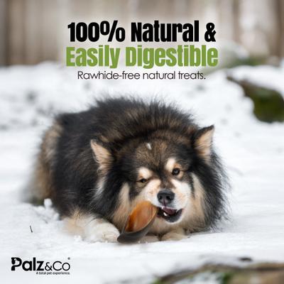 Show full view: Palz&Co Moodog Cow Hooves Dog Treats, 30 count slide 5 of 10