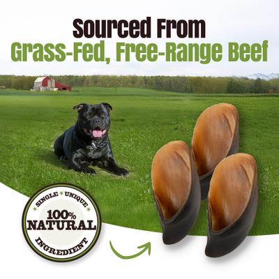 Show full view: Palz&Co Moodog Cow Hooves Dog Treats, 30 count slide 8 of 10