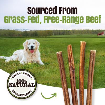 Show full view: Palz&Co Moodog 12-inch Beef Standard Bully Sticks Dog Treats, 25 count slide 8 of 10