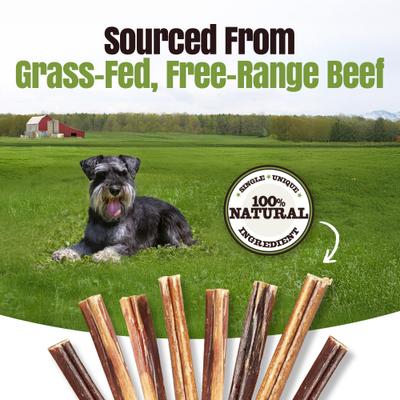 Show full view: Palz&Co Moodog 6-inch Beef Thick Bully Sticks Dog Treats, 25 count slide 8 of 10