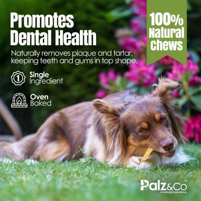 Show full view: Palz&Co Moodog Beef Medium Tendon Sticks Dog Treats, 25 count slide 9 of 10