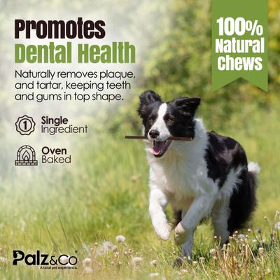 Show full view: Palz&Co Moodog 12-inch Beef Gullet Sticks Dog Treats, 25 count slide 9 of 10