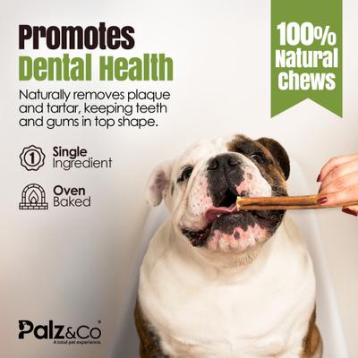 Show full view: Palz&Co Moodog 6-inch Beef Value Bully Sticks Dog Treats, 25 count slide 9 of 10