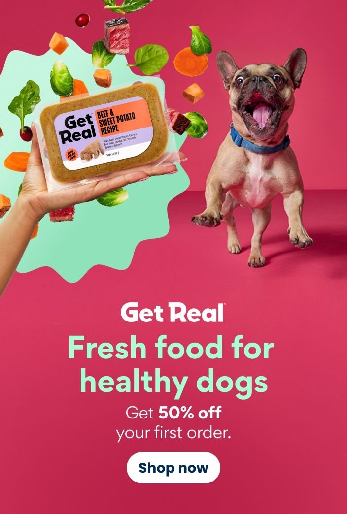Get Real: Fresh food for healthy dogs. Get 50% off your first order. Shop now.