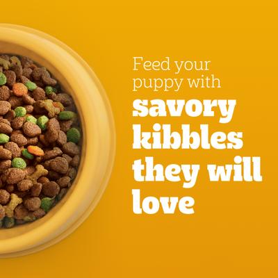 Show full view: Pedigree Puppy Growth & Protection Chicken & Vegetable Flavor Dry Food + Chopped Ground Dinner with Chicken & Beef Puppy Canned Wet Dog Food slide 4 of 10