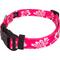 Show in main carousel: Country Brook Design Deluxe Hawaiian Dog Collar, Pink, Small slide 6 of 9
