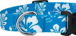 Country Brook Design Deluxe Hawaiian Dog Collar, Blue, XXX-Small slide 2 of 7