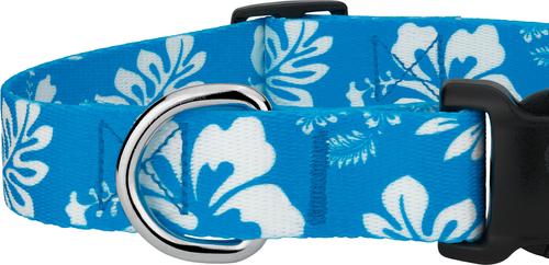 Show full view: Country Brook Design Deluxe Hawaiian Dog Collar, Blue, Medium slide 7 of 8