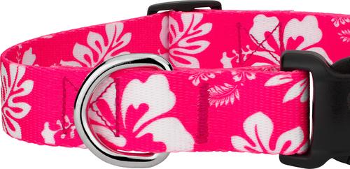 Show full view: Country Brook Design Deluxe Hawaiian Dog Collar, Pink, Small slide 8 of 9