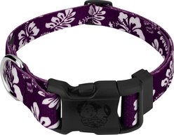 Country Brook Design Deluxe Hawaiian Dog Collar, Purple, Medium