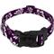 Show in main carousel: Country Brook Design Deluxe Hawaiian Dog Collar, Purple, Medium slide 1 of 8