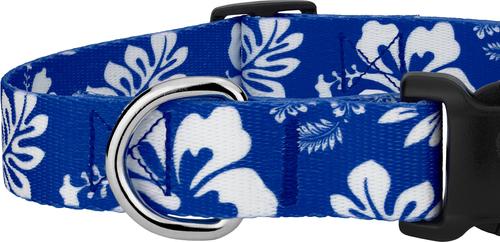 Show full view: Country Brook Design Deluxe Hawaiian Dog Collar, Royal Blue, Medium slide 7 of 8