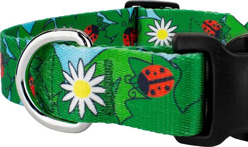 Show full view: Country Brook Design Deluxe Ladybug Picnic Dog Collar, Small slide 6 of 7