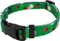 Country Brook Design Deluxe Ladybug Picnic Dog Collar, Small slide 2 of 5