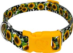 Country Brook Design Deluxe Dairy Fields Dog Collar, Medium