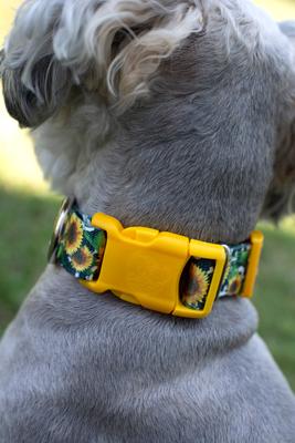 Show full view: Country Brook Design Deluxe Dairy Fields Dog Collar, Large slide 2 of 8