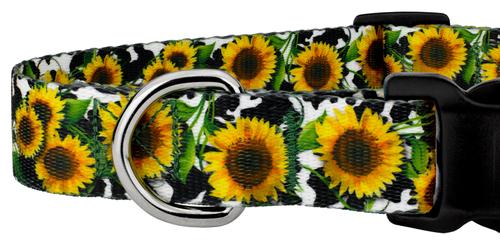 Show full view: Country Brook Design Deluxe Dairy Fields Dog Collar, X-Small slide 5 of 5