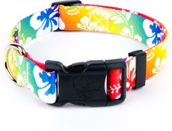 Country Brook Design Deluxe Hawaiian Rainbow Dog Collar, Large