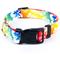 Show in main carousel: Country Brook Design Deluxe Hawaiian Rainbow Dog Collar, Giant slide 1 of 6