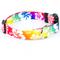 Show in main carousel: Country Brook Design Deluxe Hawaiian Rainbow Dog Collar, Giant slide 5 of 6