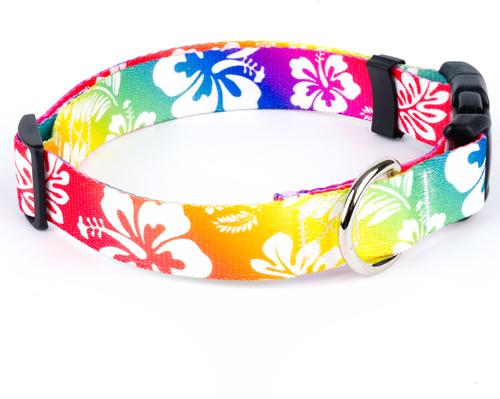 Show full view: Country Brook Design Deluxe Hawaiian Rainbow Dog Collar, Giant slide 5 of 6