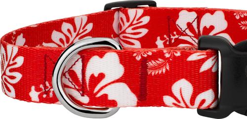 Show full view: Country Brook Design Deluxe Hawaiian Dog Collar, Red, Medium slide 5 of 6