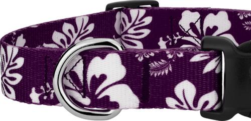 Show full view: Country Brook Design Deluxe Hawaiian Dog Collar, Purple, Medium slide 7 of 8