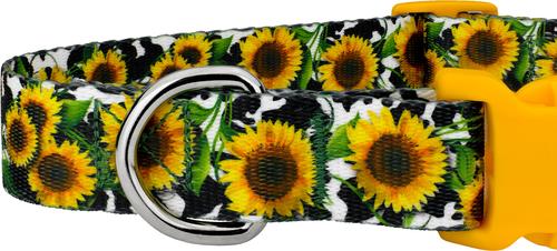 Show full view: Country Brook Design Deluxe Dairy Fields Dog Collar, Large slide 8 of 8