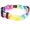 Show in main carousel: Country Brook Design Deluxe Hawaiian Rainbow Dog Collar, Giant slide 3 of 6