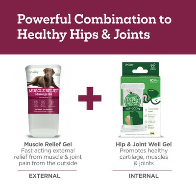 Show full view: Vetality Muscle Massage Dog Pain Reliever Gel, 3-fl oz bottle slide 9 of 9