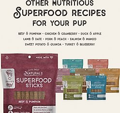 Dog Treat Naturals Turkey & Blueberry Superfood Fresh All Stages Natural Chew Stick Dog Treats, 24-oz bag slide 2 of 6