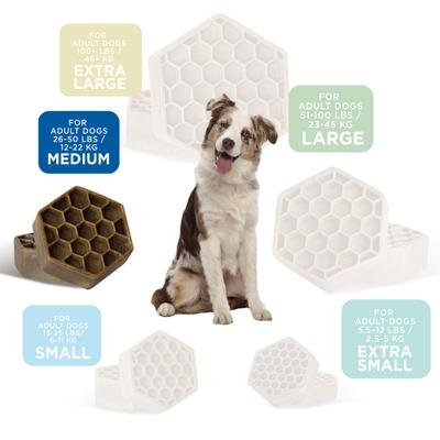 Show full view: Yummy Combs Fish & Egg Medium Dental Dog Treats, 12-oz bag, 15 count slide 7 of 9