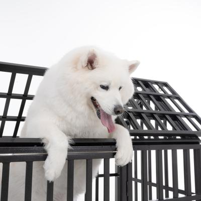 Show full view: Cesicia Heavy Duty Dog Crate with Lockable Wheels slide 2 of 6