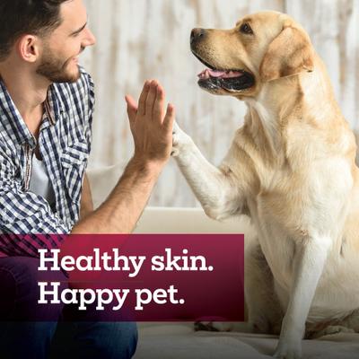 Show full view: Vetality Hot Spot & Wound Dog Ointment, 3-fl oz bottle slide 9 of 10