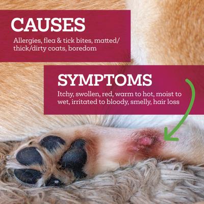 Show full view: Vetality Hot Spot & Wound Dog Ointment, 3-fl oz bottle slide 3 of 10