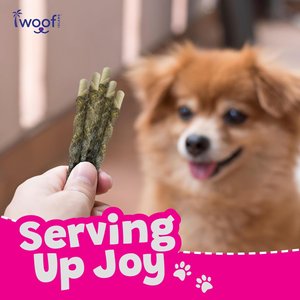 Woof Island Adult Coconut Mango Sticks with Fish Natural Dog Chew Treats, 3.6-oz bag, 12 count