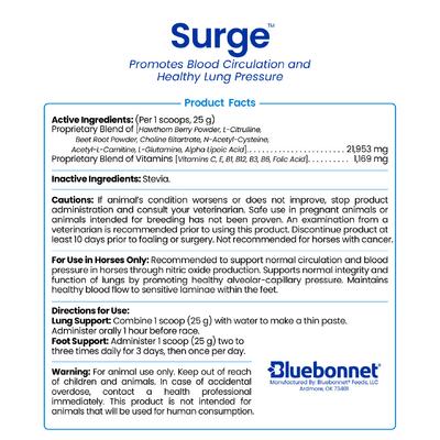 Show full view: Bluebonnet Feeds Surge Lung Support Horse Supplement, 1.65-lb jar slide 3 of 4