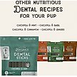 Show in main carousel: Dog Treat Naturals Dental Sticks Chickpea & Mint Dog Treats, 20 count slide 5 of 8
