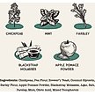 Show in main carousel: Dog Treat Naturals Dental Sticks Chickpea & Mint Dog Treats, 20 count slide 3 of 8