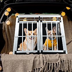 Cesicia Double Door Dog Travel Crate