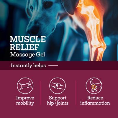 Show full view: Vetality Muscle Massage Dog Pain Reliever Gel, 3-fl oz bottle slide 5 of 9