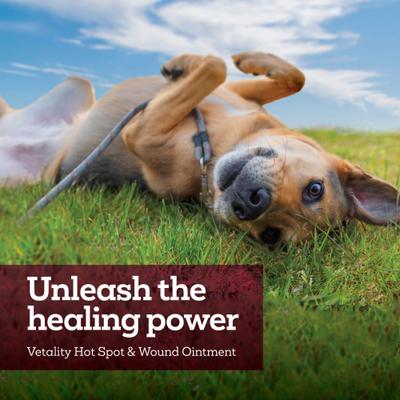 Show full view: Vetality Hot Spot & Wound Dog Ointment, 3-fl oz bottle slide 10 of 10