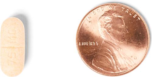 Show full view: Carprieve (carprofen) Caplets for Dogs, 75-mg, 1 caplet slide 5 of 6