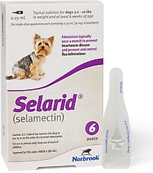 Selarid Topical Solution for Dogs, 5.1-10 lbs, (Purple Box), 6 Doses (6-mos. supply)