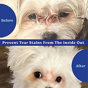 Angels' Eyes Natural Plus Chicken Flavored Soft Chews Tear Stain Supplement for Dogs & Cats, 6.35-oz bag, 90 count