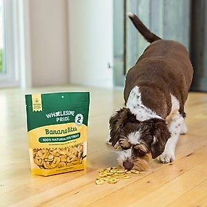 Wholesome Pride Pet Treats Banana Bites Dehydrated Dog Treats, 8-oz bag