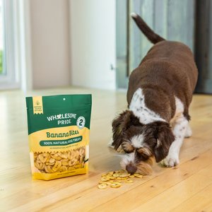 Wholesome Pride Pet Treats Banana Bites 100% All-Natural Limited Ingredient Dog Treats, 16-oz bag
