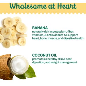 Wholesome Pride Pet Treats Banana Bites 100% All-Natural Limited Ingredient Dog Treats, 16-oz bag
