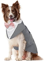 Kuoser Dog Tuxedo, Grey, XX-Large